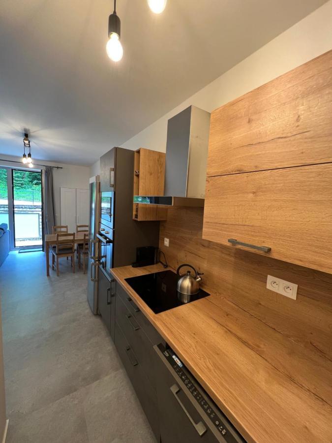Appartement Jizerky *